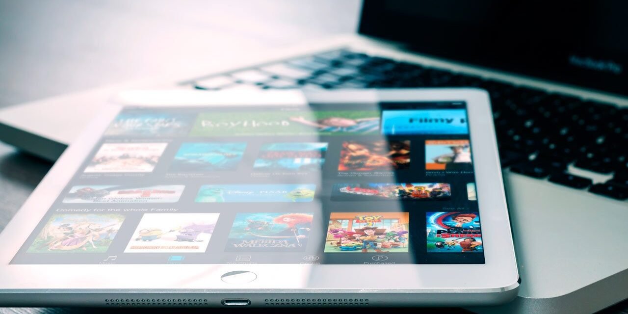 pandasecurity-MC-netflix-new-phishing